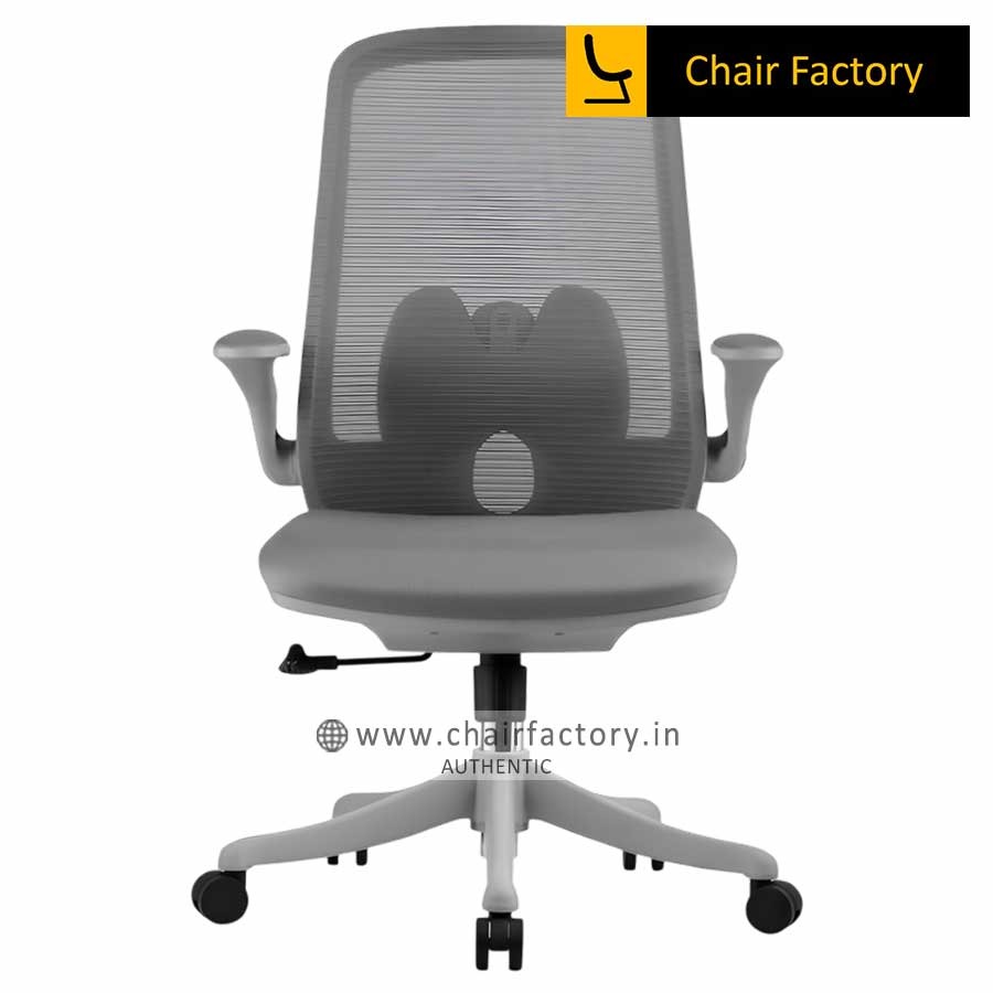 Grey Mid Back Elevate Imported Computer Office Chair 